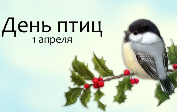 С международным днём птиц