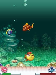 piranha 240x320 nokia rus