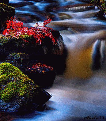 самые+красивые+картинки