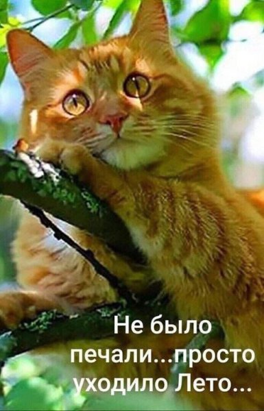 Уходит лето