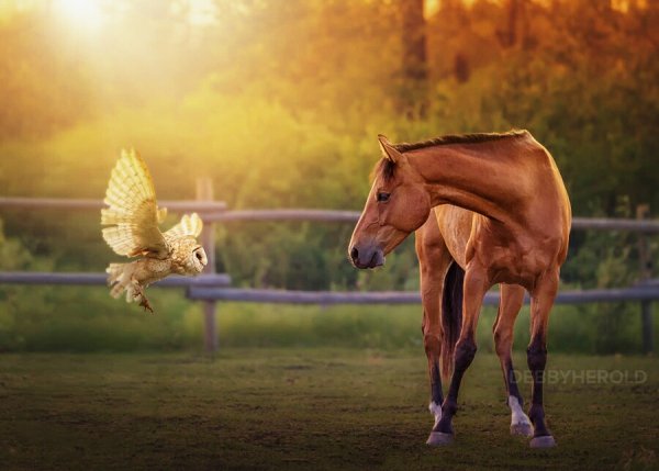 IMG 20190115 154037 654