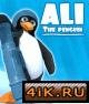 Ali The Penguin