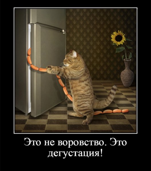 Это не воровство. Это дегустация!