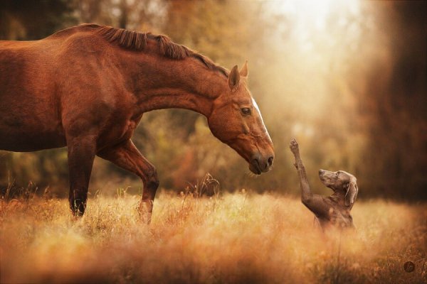 IMG 20190115 154051 590