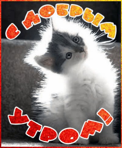 С добрым утром