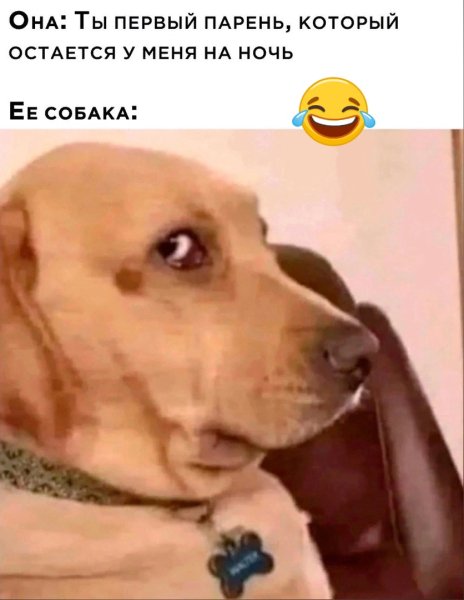 )))