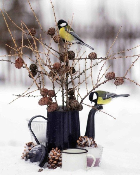 file_75739737