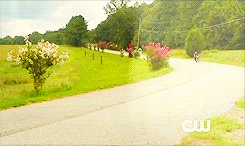 vampire diaries pic