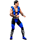 Bear Sub-Zero