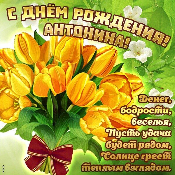 IMG 20221116 015728