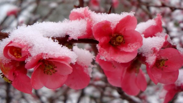 file_83236920