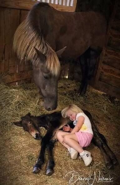 FB IMG 16322268926158862