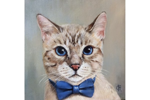 Кот. рисунок