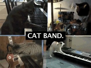 gifs 04