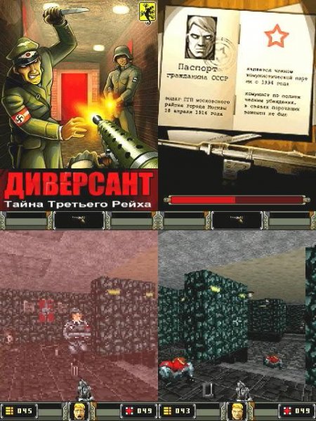 Diversant nokia 176x208