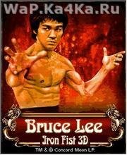 Bruce Lee Iron Fist 3D