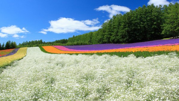 RWN8W0 1920x1080
