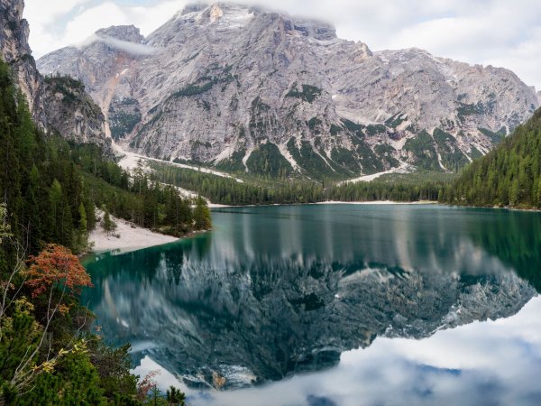 озеро лес отражение небо..file