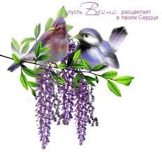 images (59)