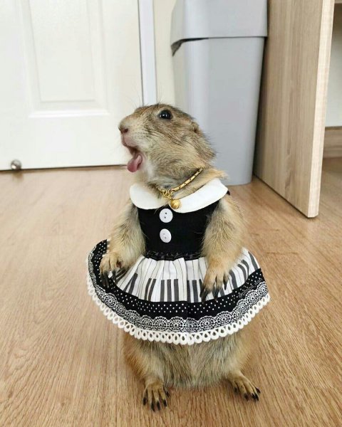 IMG 20250801 174554 467