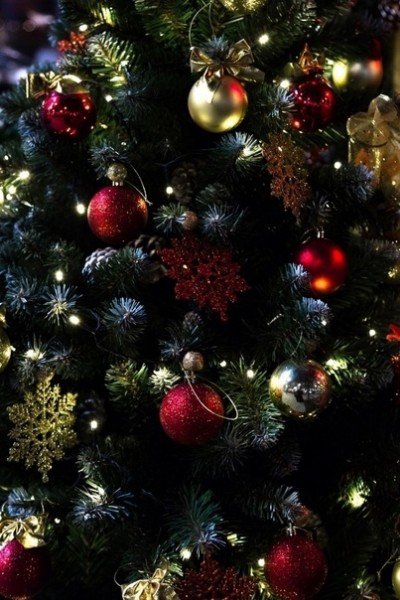 file_95377144