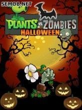 Растения против Зомби: Хеллоуин (240*320)