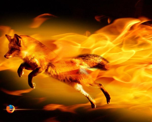 Mozilla Firefox 31.0 Final