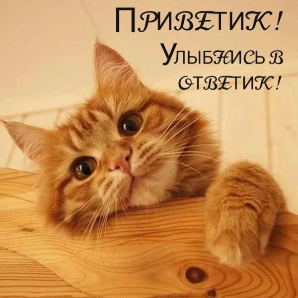 file_89464889