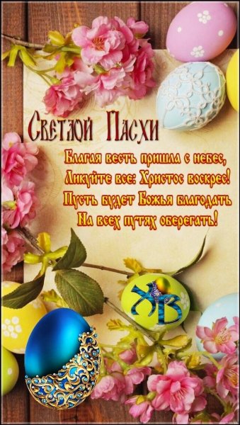 file_84186489