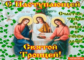 s-nastupayushhej-troicej-mira-v-tvoyom-dome