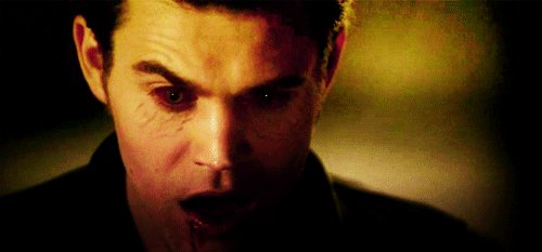 Klaus-and-Stefan-gif-klaus-21993581-500-