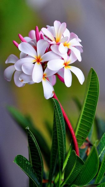 file_84661328