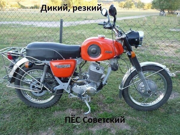 file_89350069