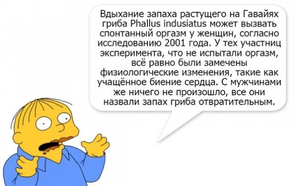 Увезите Меня На Гавайи)