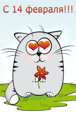 Кот 14 февраля