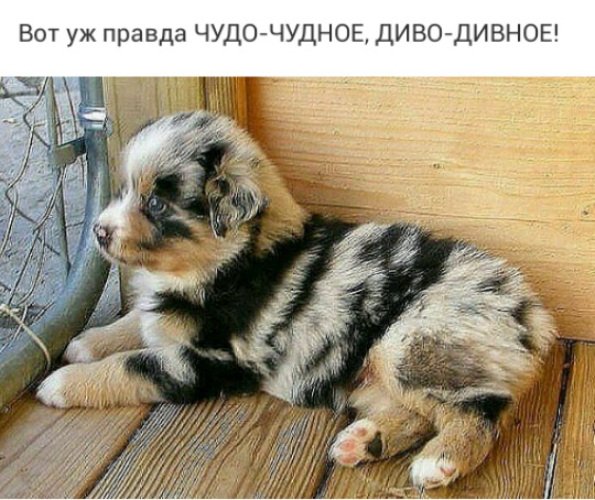 x500