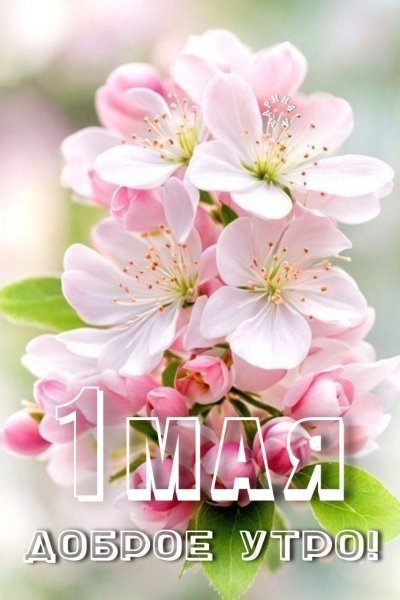 IMG 20260501 081311 745