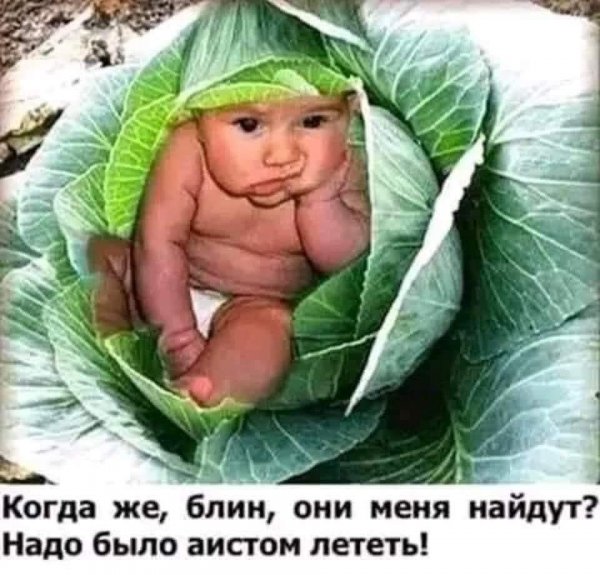 FB IMG 1776447024121