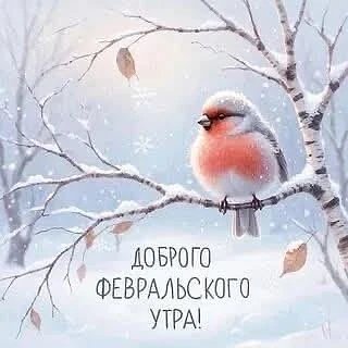 IMG 20260220 132004 237