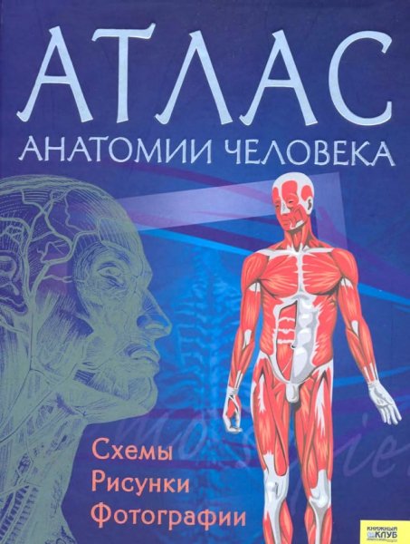 Atlas anatomii cheloveka Sevastyanova I i dr
