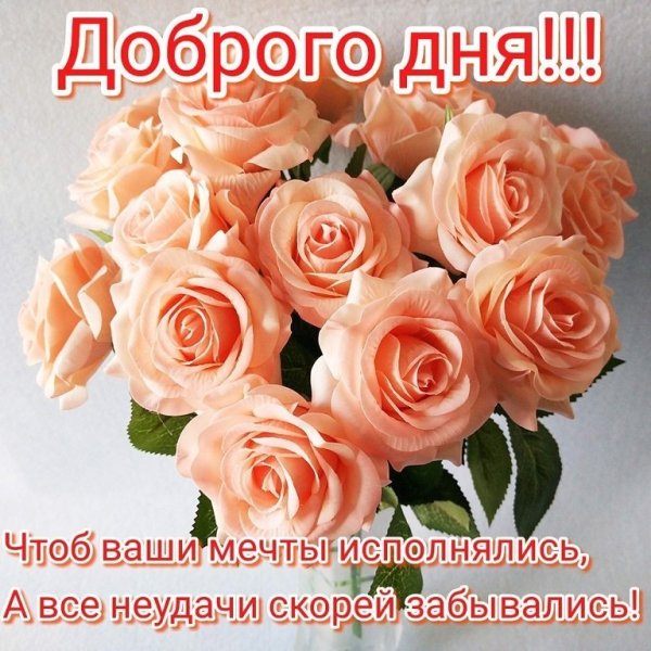 lY9gYfEqNic
