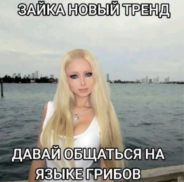 file_103192448