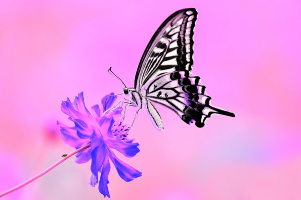 IMG 20201120 014449