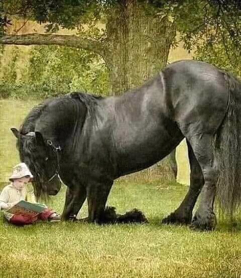 FB IMG 16310569433740892