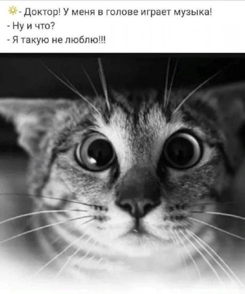 file_101022521