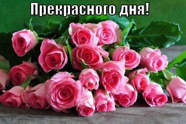 szyuARSENk4