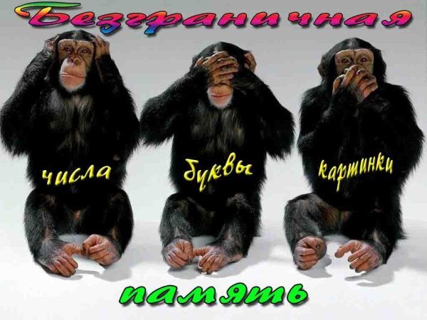 БЕЗГРАНИЧНАЯ ПАМЯТЬ