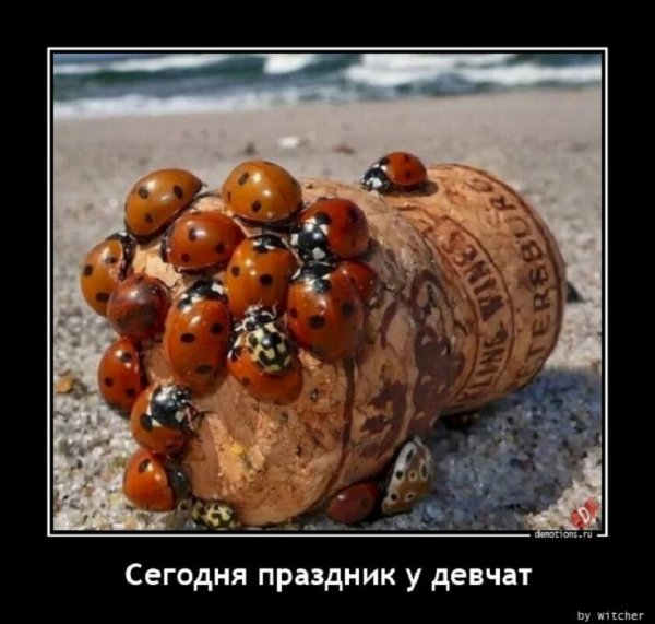 Сегодня праздник у девчат