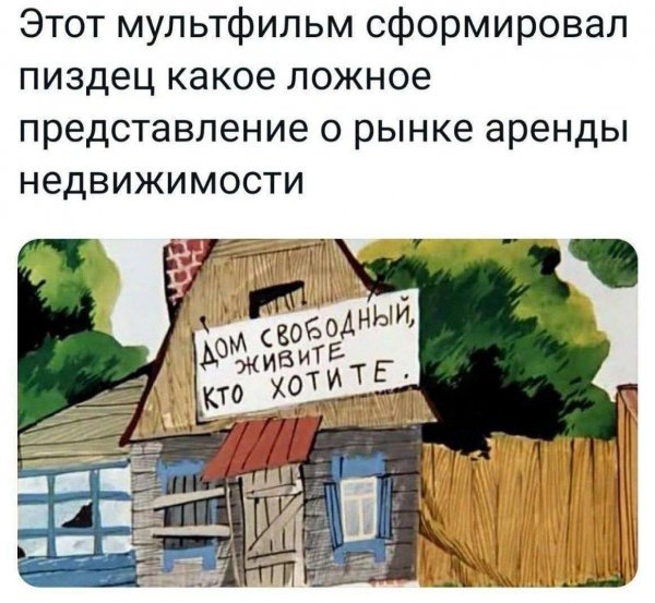 IMG 20240821 130559 467