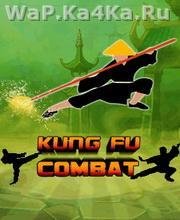 Kung Fu Combat
